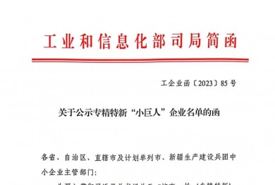 Bsports必一运动(中国区)官方网站有限公司进入国家级专精特新“小巨人”企业公示名单